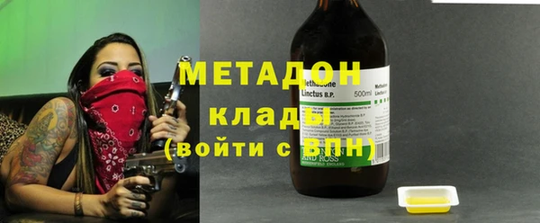 прущие грибы Бронницы