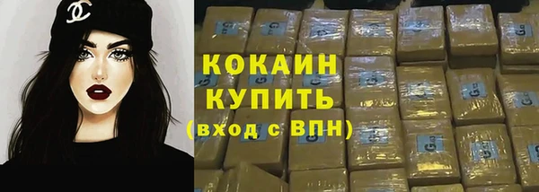 гидра Белокуриха