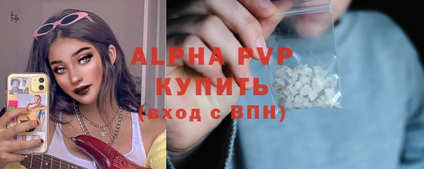 прущие грибы Бронницы