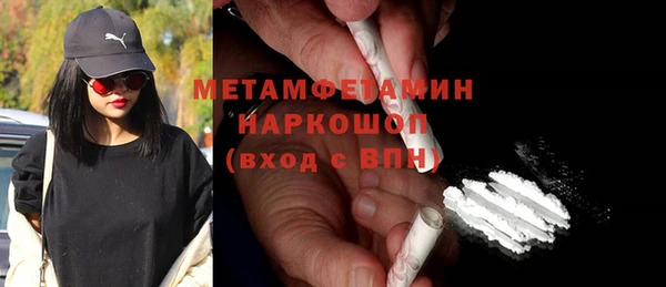 прущие грибы Бронницы