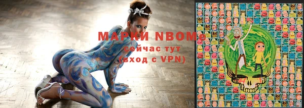 прущие грибы Бронницы