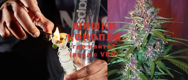 прущие грибы Бронницы