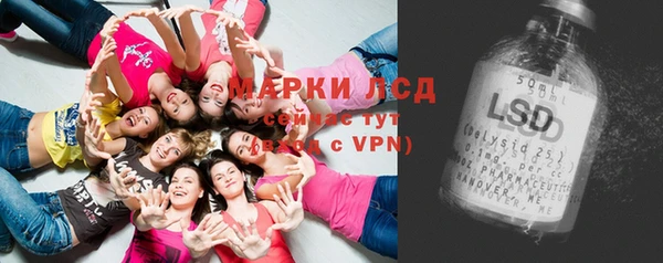 PSILOCYBIN Бугульма