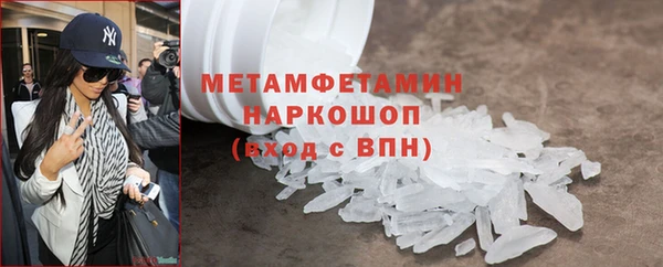 прущие грибы Бронницы