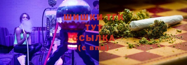прущие грибы Бронницы