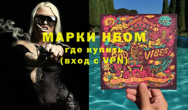прущие грибы Бронницы