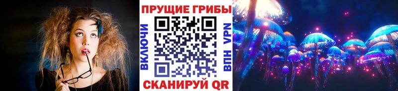Галлюциногенные грибы мицелий  shop наркотические препараты  Вичуга  купить наркоту 